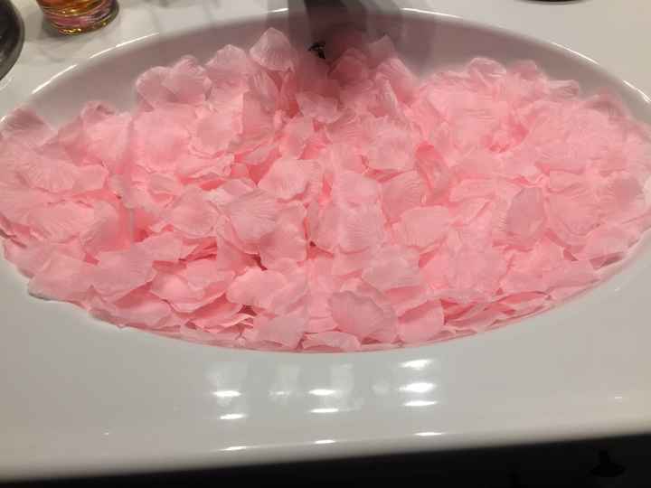 Pétalos y bolsitas rosa amazon - 1