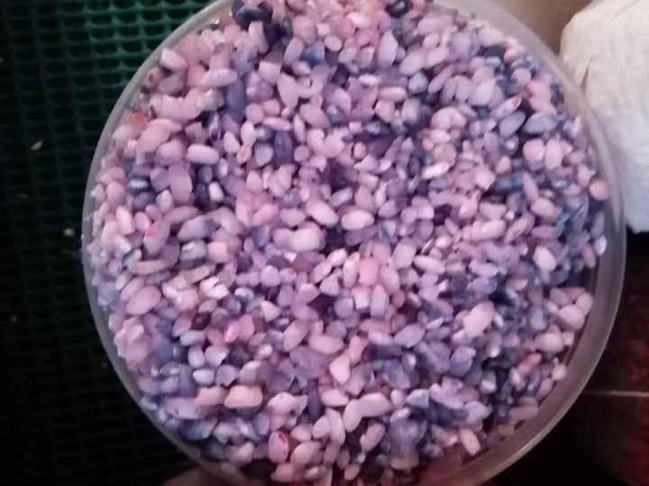 arroz