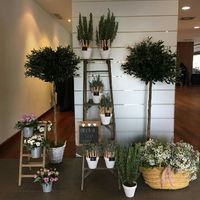 Colocacion de invitados en las mesas! - 1