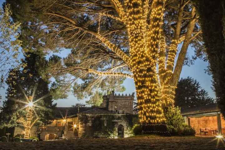 Mi querido árbol iluminado ¡me rechifla! 