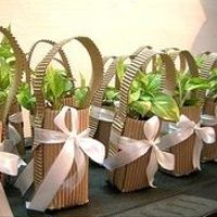 plantitas