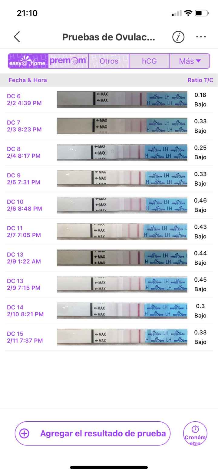 Buscadoras febrero 👑🥐👑🥐👑🥐 - 1