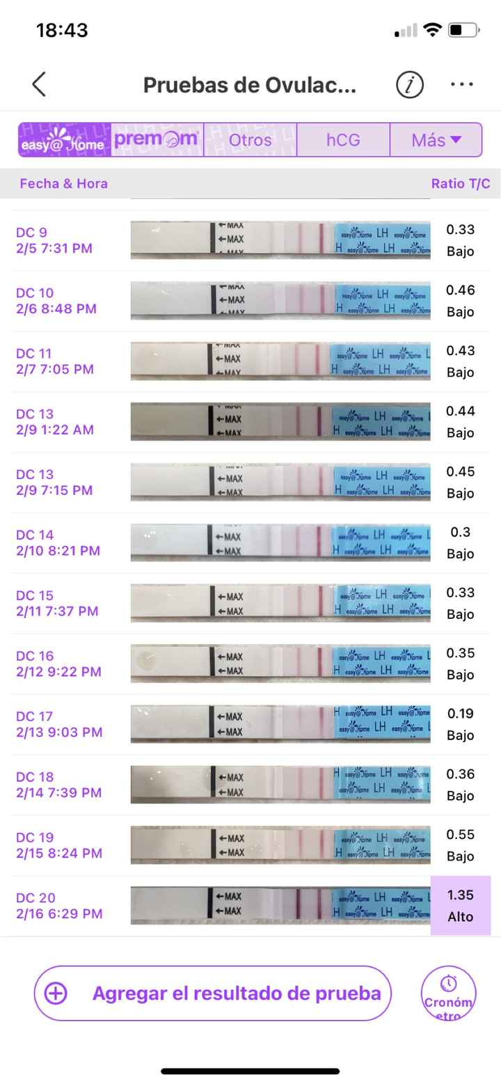 Buscadoras febrero 👑🥐👑🥐👑🥐 - 1
