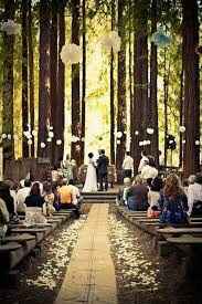 Decoración boda en el bosque - 1