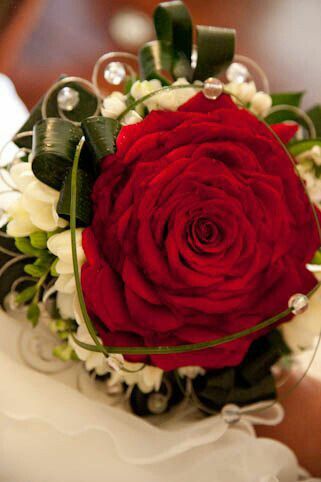 Ideas ramo de novia:rosmelia - 5