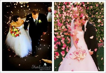 Opciones para tirar a los novios - 1