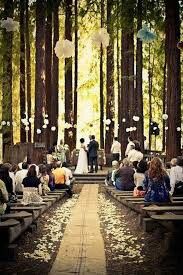 Decoración boda en el bosque - 1