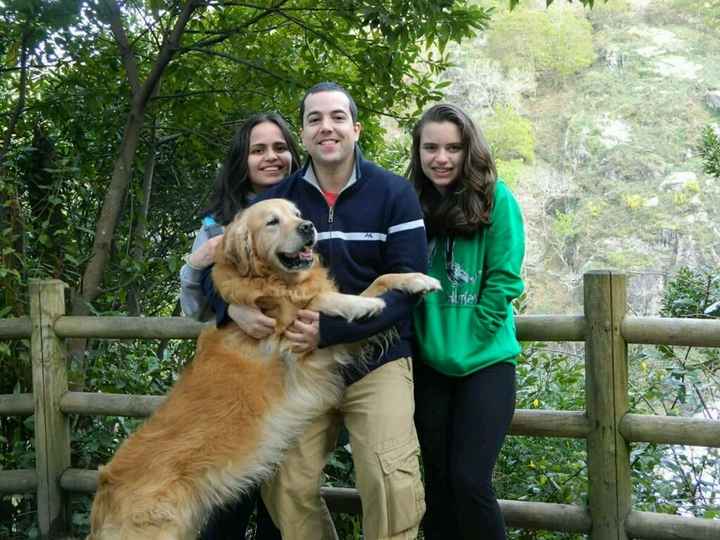 Así quiero yo las fotos con mis perros - 1