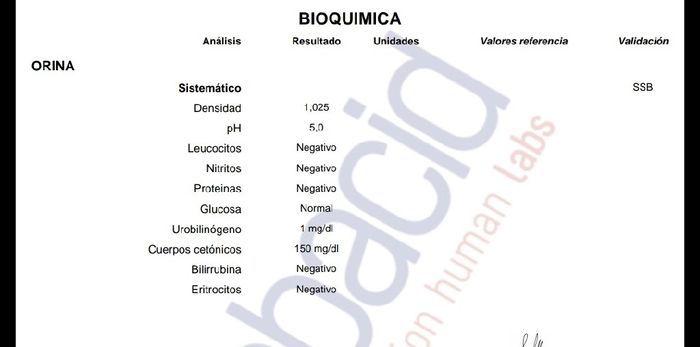 Diabetes gestacional como lo lleváis 1