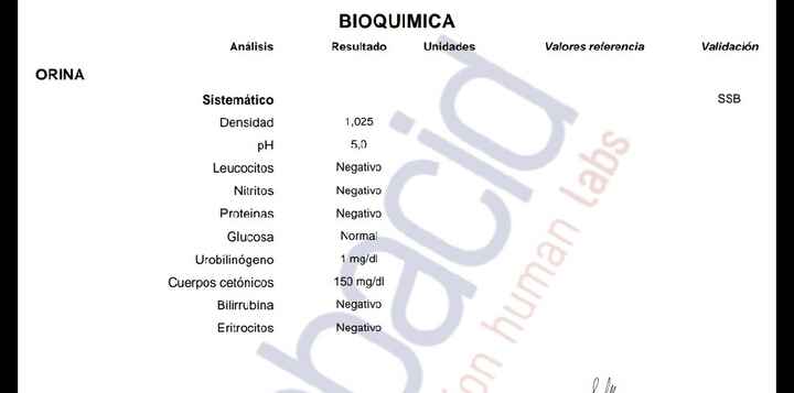 Diabetes gestacional como lo lleváis - 1