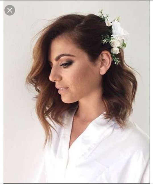  Pelo corto - 2