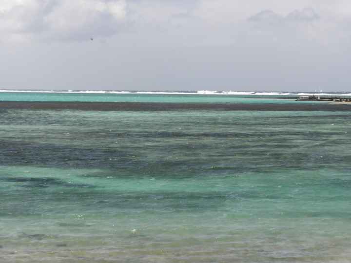 LAS OLAS