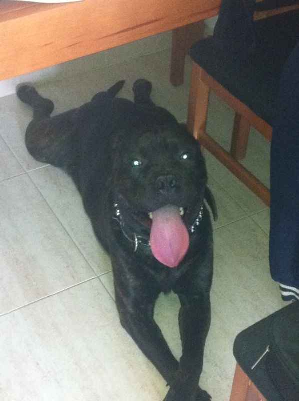 Mi ranita :)