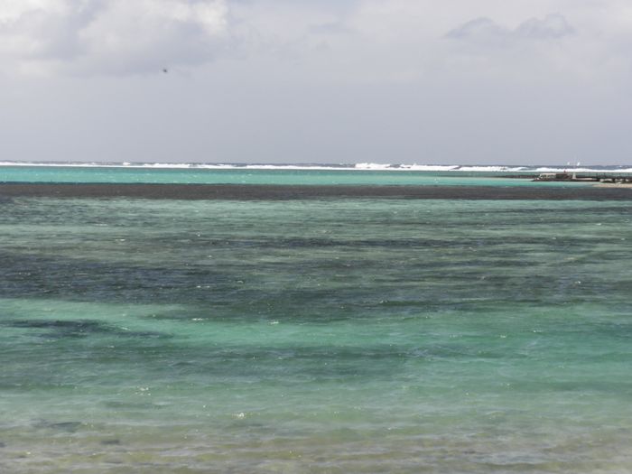 LAS OLAS