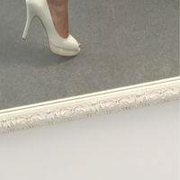 Modelo prunelle - 1