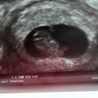 8 semanas