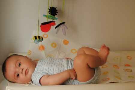 mario 5 meses