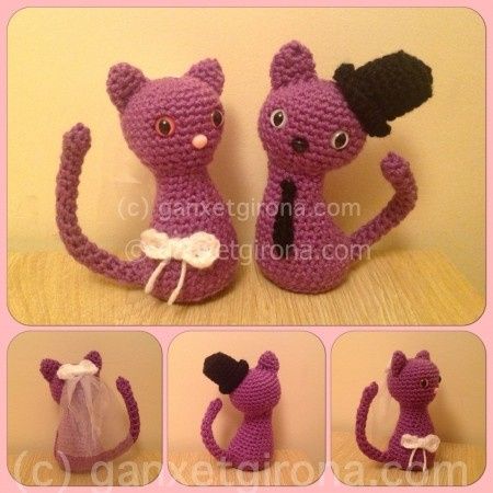gatitos novios