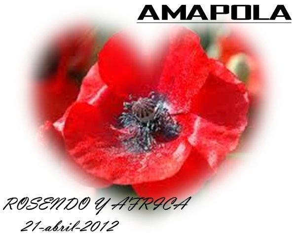 estaseria la amapola