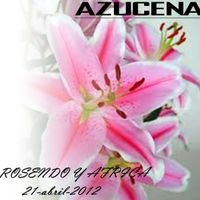 azucena