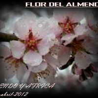 flor del almendro