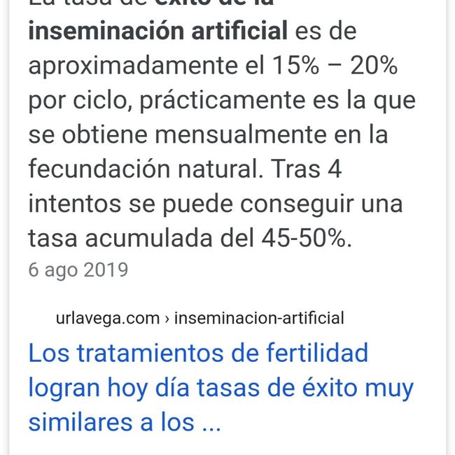 Inseminación artificial ¿cómo os fué? 1