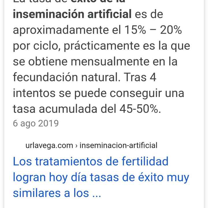 Inseminación artificial ¿cómo os fué? - 1