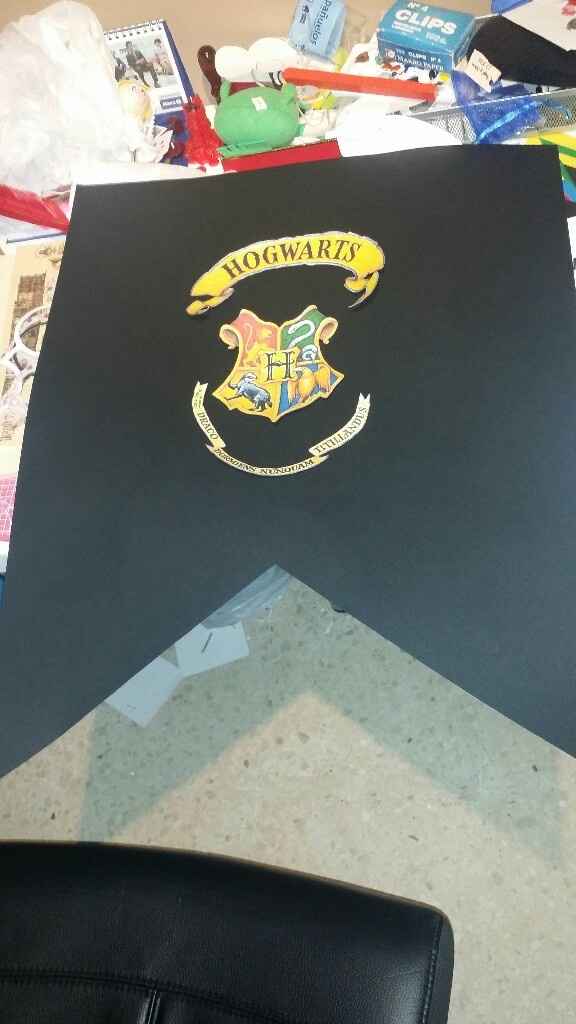 Mi boda "Harry Potter" - 8