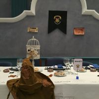 Mi boda "Harry Potter" - 1