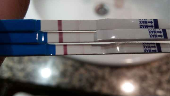 Ayuda test embarazo - 1