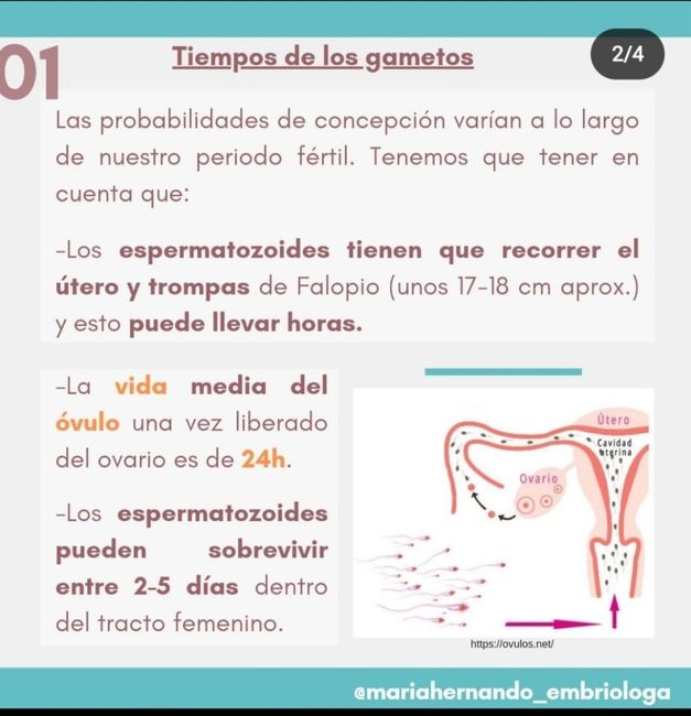 Buscadoras Marzo 2023 1