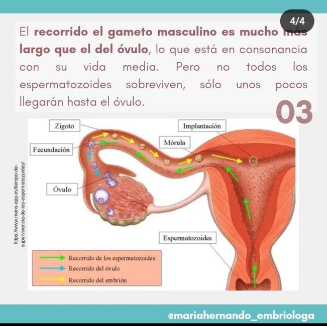 Buscadoras Marzo 2023 4