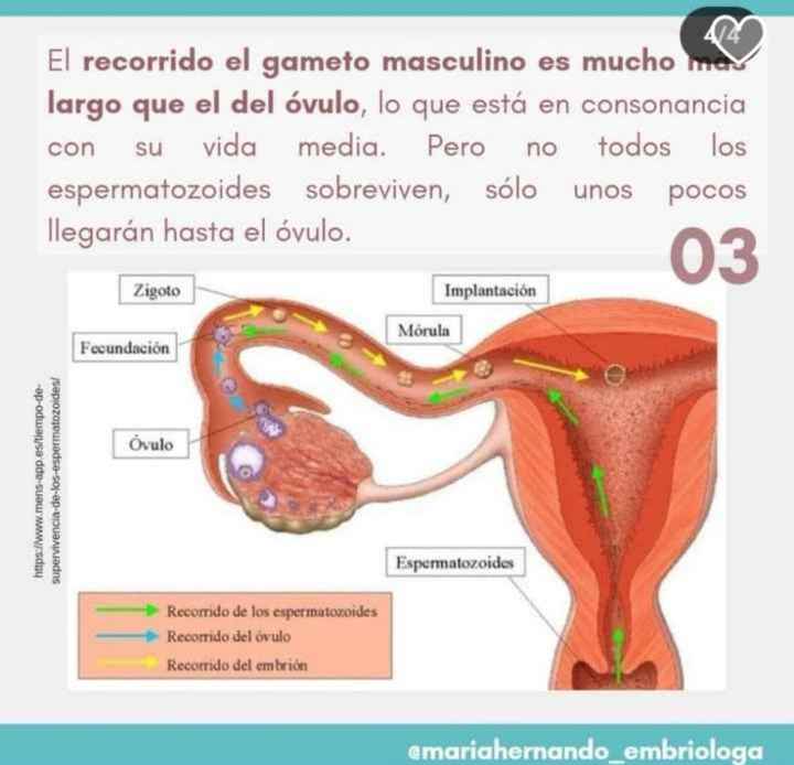 Buscadoras diciembre 2023 - 3