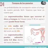 Buscadoras diciembre 2023 - 1