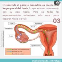 Buscadoras diciembre 2023 - 3