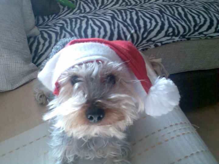 De Navidad