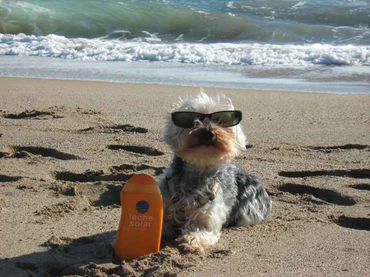 En la playa