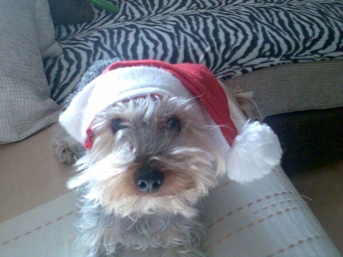 De Navidad