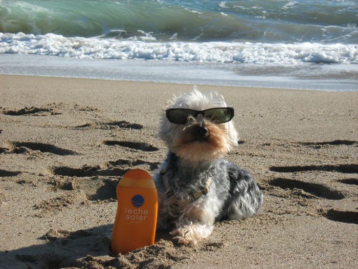 En la playa