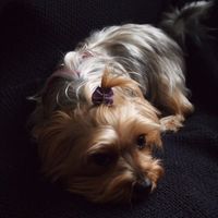 Noa!!!