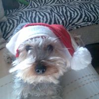 De Navidad