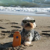 En la playa