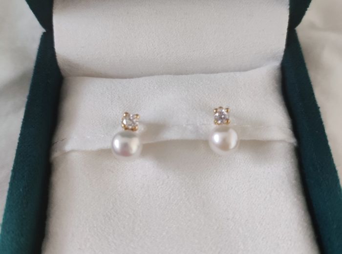 Accesorios 8