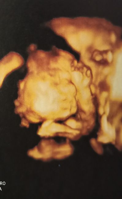 Mamas Febrero 2020 - 1