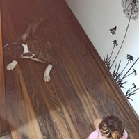 Mamas Febrero 2020 - 1