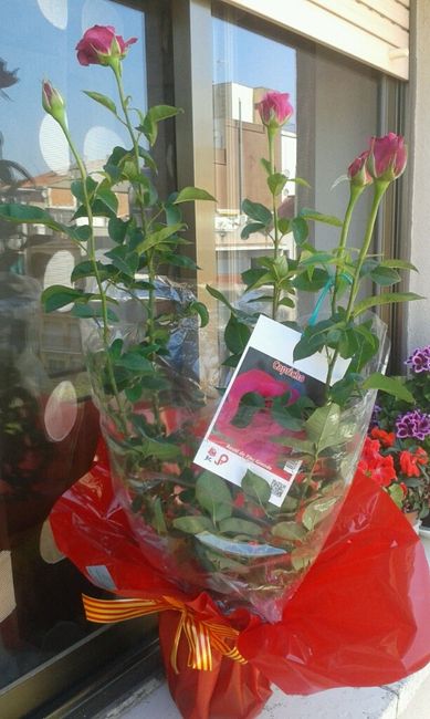 Sant jordi - 1