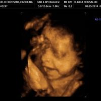 26 semanas