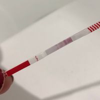 test TE