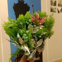 detalle de ramo