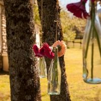 Botellas en árboles